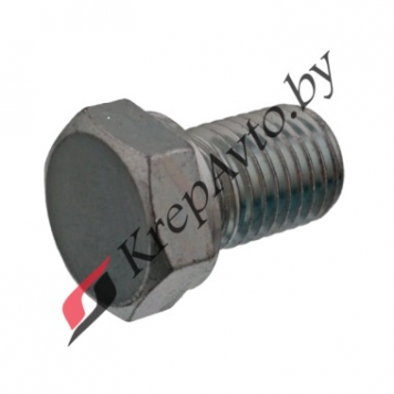 Пробка масляного поддона BMW, Opel