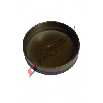 Заглушка ГБЦ, распредвала 1.5 HDI CITROEN PEUGEOT 311127-2