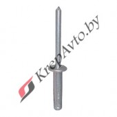 Металическая заклепка с разрезом Peugeot/Citroen, Ford 7000412, 6973E0, 6973.E0