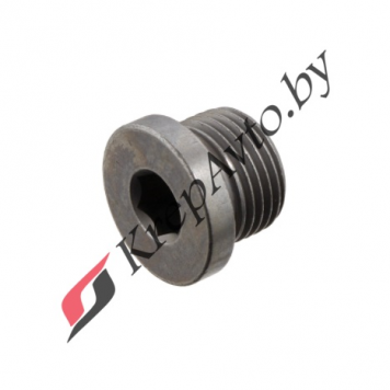 Пробка масляного поддона BMW