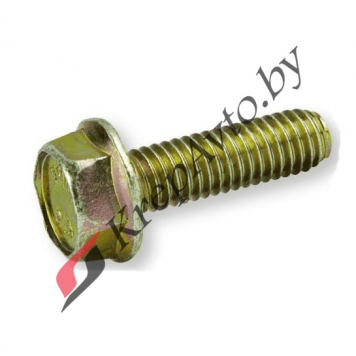 Болт с фланцем  М10х1.5х25 кл.пр 8.8