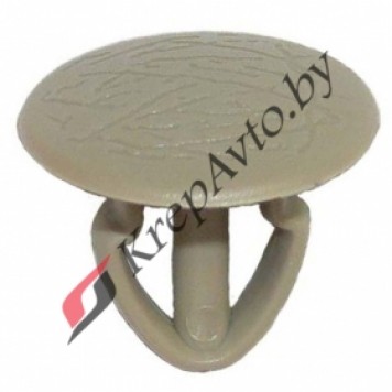 Opel 4501572, 251867299