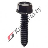 Саморез Fiat/Alfa/Lancia 15698004