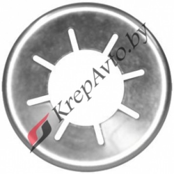 Стопорная шайба BMW 51412756212