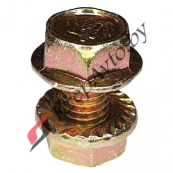 Винт с шестигранной головкой с шайбой, с гровером + гайка шестигранная М6